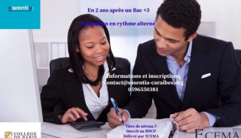 MS Manager Administratif et Financier 